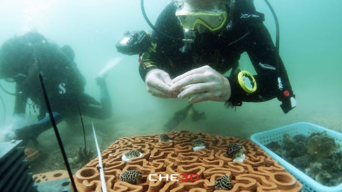 Impresión 3D ecológica: ArchiREEF restaura arrecifes de coral